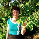 ���� ��������, ��������, 56 ��� - ��������� 4 ���� 2014 � ������ ���� ����������