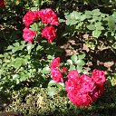 ���� �����, ������ �������� - ��������� 28 ���� 2014 � ������ �2014 ��