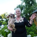 � ������ � ��������� ������ �� ������� ���� ����������