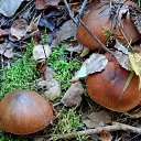 ���� �����, �����, 64 ���� - ��������� 6 ��� 2014 � ������ ������������ ������