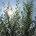 ���� �����, ������� - ��������� 18 ������� 2014 � ������ �17.08.2014�.�