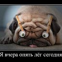 ���� �������� ������ 55, ���, 42 ���� - ��������� 19 ���� 2014 � ������ ������ ��������