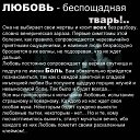 ���� ���� ��������, ������, 72 ���� - ��������� 6 ��� 2014 � ������ ������ ��������
