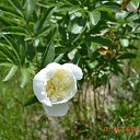 ���� �������, ������-���, 68 ��� - ��������� 8 ���� 2014 � ������ ���� ������ ��Ļ