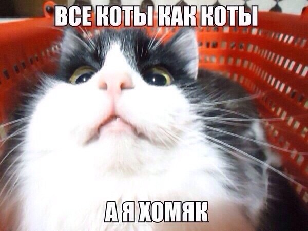 "    -    :-D"