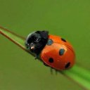   -    ))), -, 59  -  23  2014    