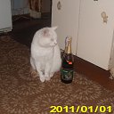 ���� ����, �����, 43 ���� - ��������� 26 ���� 2014 � ������ ���� ����������