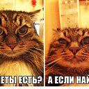 ���� ������ �������, ������������, 31 ��� - ��������� 20 ������� 2014