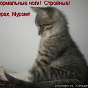 ���� ����������, ���� - ��������� 7 ������� 2014 � ������ ���� ����������