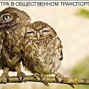 ���� ��������, ����, 67 ��� - ��������� 4 ������� 2014 � ������ ������ ��������