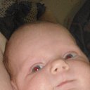 ���� ��������, ��������, 105 ��� - ��������� 25 ������ 2014 � ������ ���� ����������