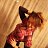 ���� Natalia, �����������, 36 ��� - ��������� 26 ���� 2014