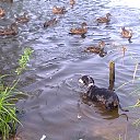 ���� �����, �����-��������� - ��������� 20 ������� 2014 � ������ ���� ����������