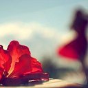 ���� �����, ���� - ��������� 12 ������ 2014 � ������ ������ ��������
