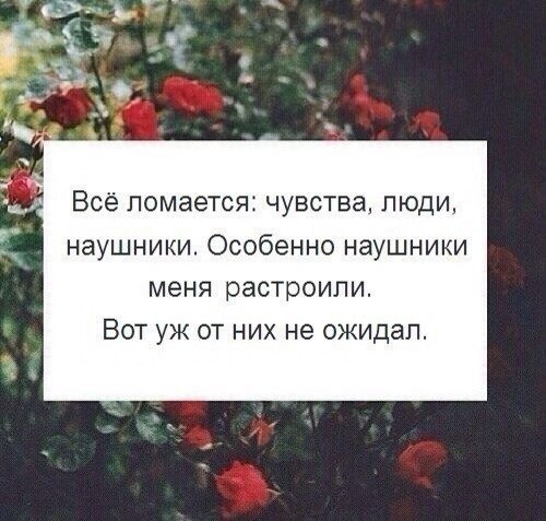 ...  .. - 31  2014  19:45