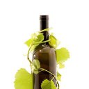 ���� �����, ����, 65 ��� - ��������� 16 ��� 2014 � ������ ���� ����������