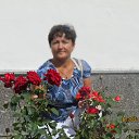 ���� ����������, ������, 58 ��� - ��������� 8 ���� 2014 � ������ ���� ����������