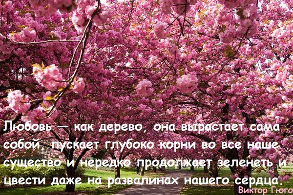  - 12  2014  05:01