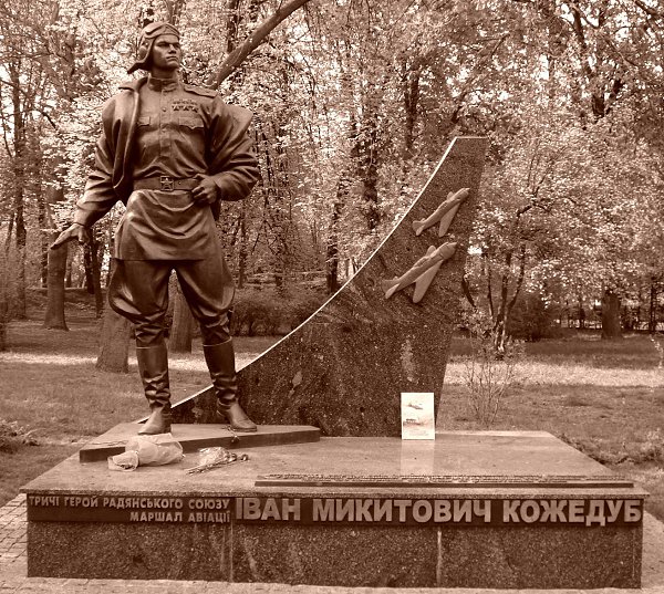 : .   . - kotka, 61 , 