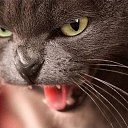 ���� ����� �����, ����, 50 ��� - ��������� 25 ������ 2014 � ������ �������� ������