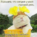 ���� �������, ��������-��-������, 48 ��� - ��������� 10 ������� 2014 � ������ ������ ��������