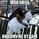 ���� �������, ������, 47 ��� - ��������� 7 ���� 2014 � ������ ������� �������