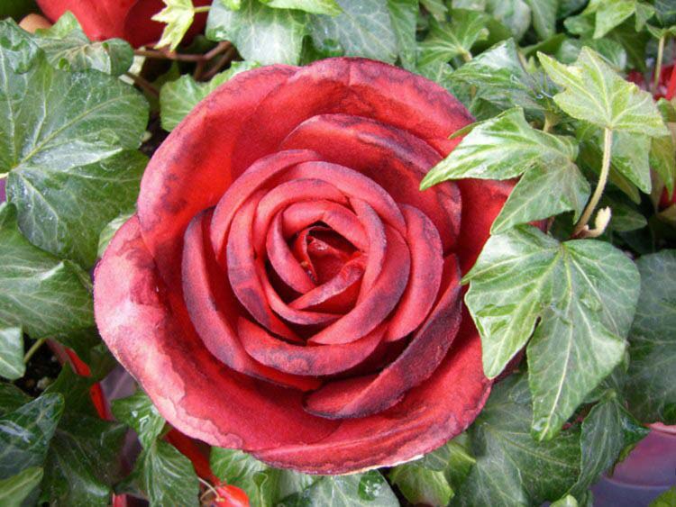 ★    ★ - 8  2014  15:04