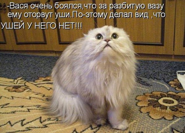  - 1  2014  21:35