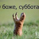 ���� ������, ������, 57 ��� - ��������� 22 ����� 2014 � ������ ������ ��������
