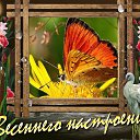 ���� �����, ���������, 60 ��� - ��������� 18 ������ 2014 � ������ ������ ��������