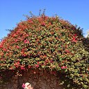 ���� Natalya, �����-���������, 68 ��� - ��������� 22 ���� 2014 � ������ ���� ����������