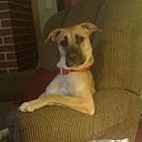  , -, 75  -  28  2014    