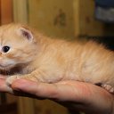 ���� ����, ������ - ��������� 9 ���� 2014 � ������ ������ ��������