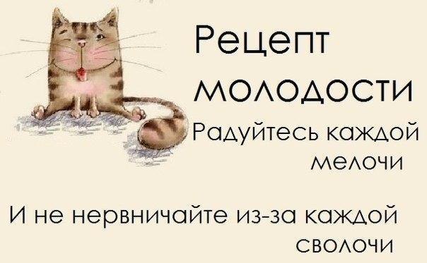 ������ - 13 ���� 2014 � 14:49