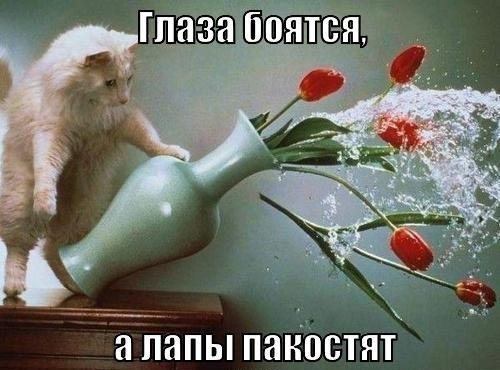 ���� ������� :3 - 5 ������� 2014 � 13:00
