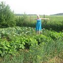 ���� ����, ������ ��������, 53 ���� - ��������� 24 ���� 2014 � ������ ���