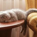 ���� ������, ��������� - ��������� 22 ���� 2014 � ������ ������ ��������