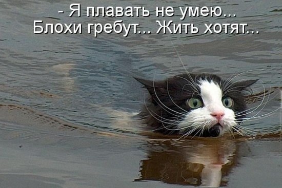   :3 - 5  2014  13:01