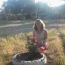 ���� �����, �����, 51 ��� - ��������� 19 ������� 2014 � ������ ���� ����������