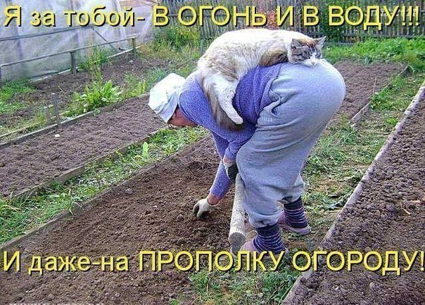  ( ) - 3  2014  07:33
