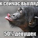 ���� �������, ����-���������, 53 ���� - ��������� 19 ����� 2014 � ������ ������ ��������