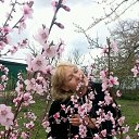���� �������, ���-��, 63 ���� - ��������� 27 ������ 2014 � ������ ���� ����������