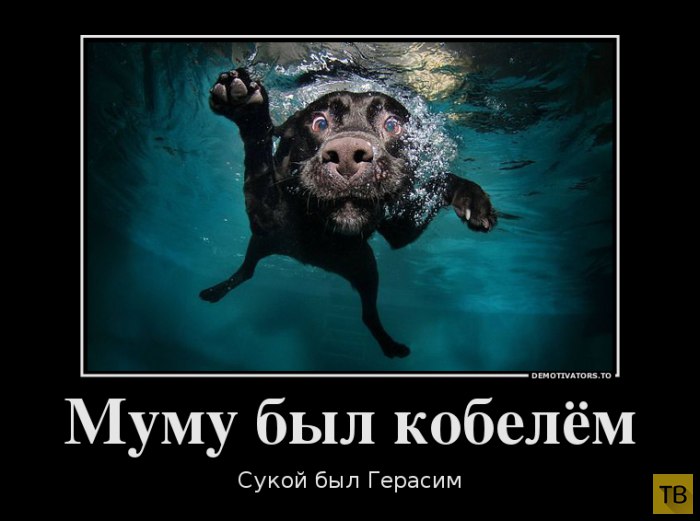  - 16  2014  17:27