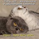 ���� ��������, ������������ - ��������� 21 ������� 2014 � ������ ���� ����������