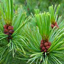 ���� ������, ����������, 66 ��� - ��������� 18 ������� 2014 � ������ ������ ��������