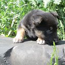 ���� ���������, ������������, 44 ���� - ��������� 30 ��� 2014 � ������ ������ ��������