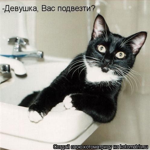 Наши любимцы :3 - 31 июля 2014 в 14:21