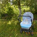 ���� ���������, ������ ��������, 51 ��� - ��������� 15 ���� 2014 � ������ ���� ����������