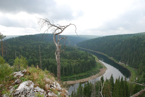 ����� ������� - 24 ��� 2014 � 13:38 - 11