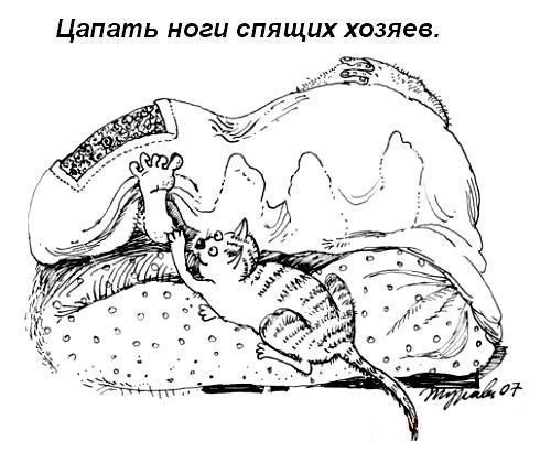    - 6